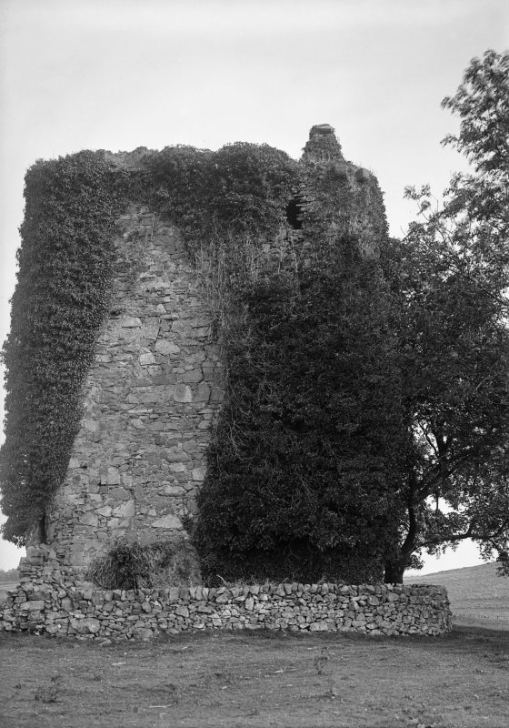 Castle Stewart - remains