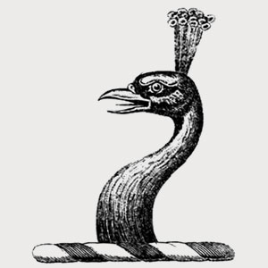 Peacock in Douglas heraldry